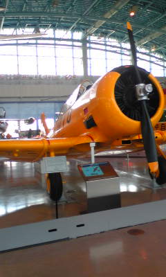 ファイル 191-5.jpg