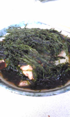 ファイル 288-1.jpg