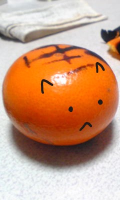 ファイル 316-2.jpg
