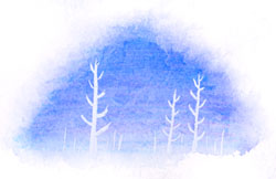 ファイル 347-1.jpg