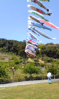ファイル 452-3.jpg