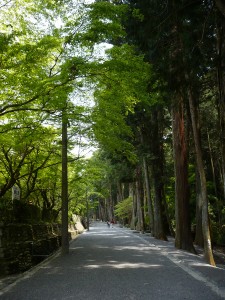 ファイル 90-4.jpg